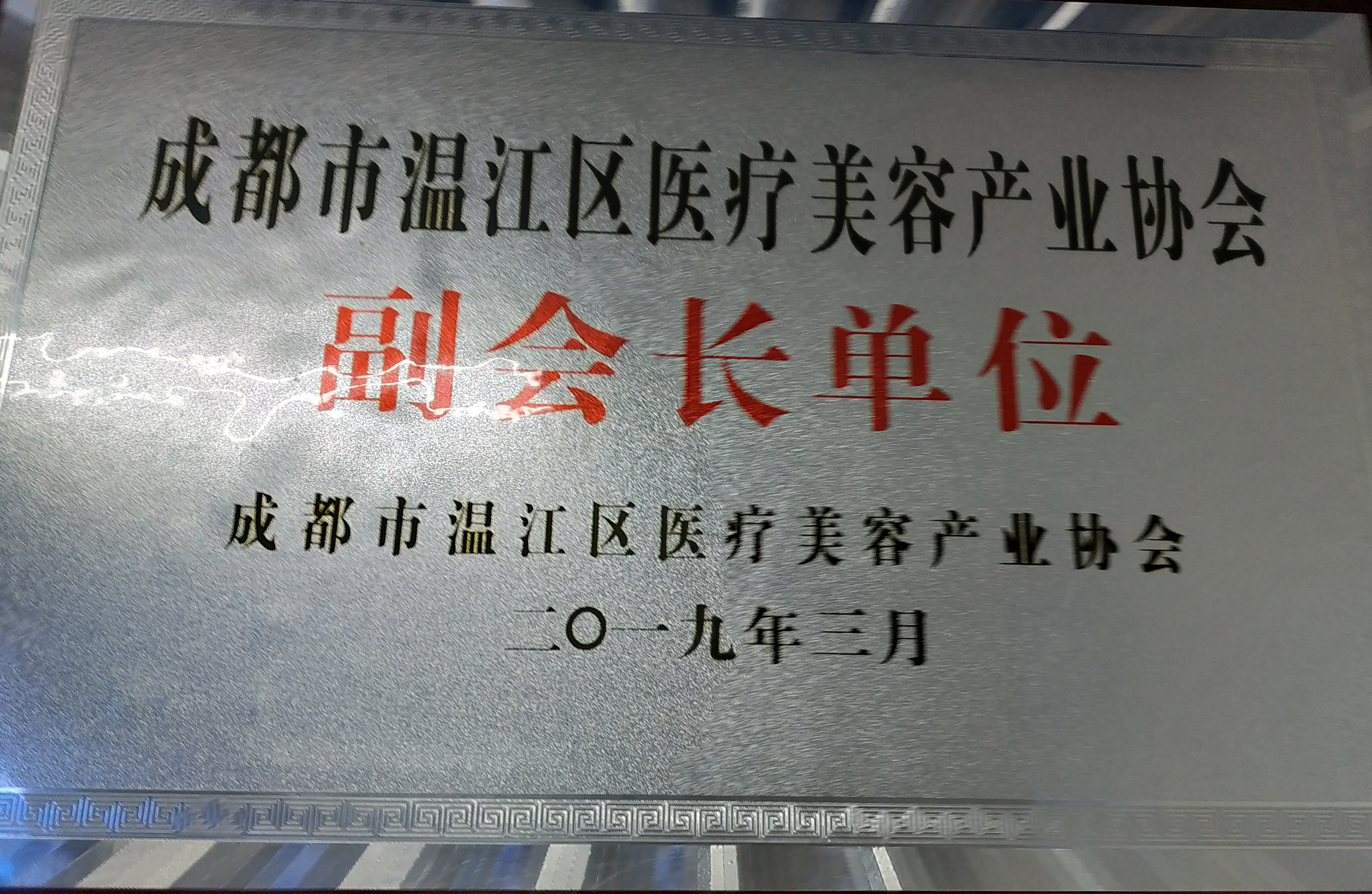 成都市温江区医疗美容产业协会副会长单位.jpg